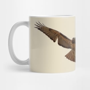 Red Tail Hawk Mug